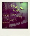 20090408428-pola