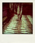 DSC08722-pola