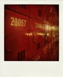DSC08725-pola