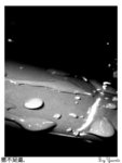DSCN1655