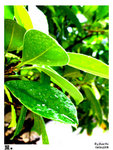 DSCN1659