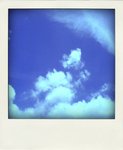 blue。