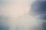 41560017