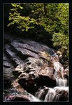 DSC04060_800