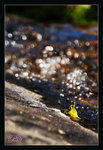 DSC04086_800