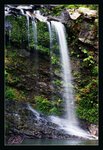 DSC04156d_800