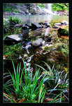 DSC04228new_800