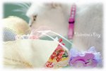 DSC08254_800