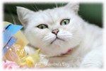 DSC08304_800