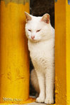 PICT5132_700