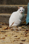 PICT5160_700