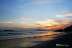 PICT7004_700