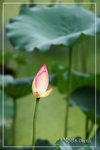 PICT6172_700b