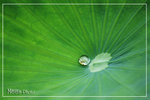 PICT6178_700a