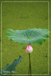 PICT6180_700b
