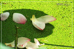 PICT6215_700a