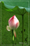 PICT6227_700b