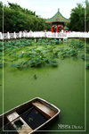 PICT6329_700b