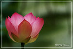 PICT6353_700