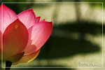 PICT6356_700