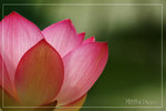 PICT6360_700