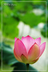 PICT6410_700