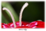 DSC00597