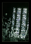 DSC02201c