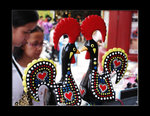 DSC02408e copy