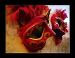 DSC02761e