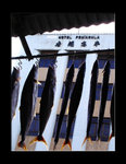 DSC02813d copy
