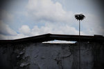DSC01844_700