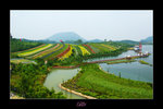 DSC03720_800 copy
