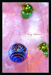 DSC04731_800a