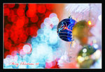 DSC04739a_800