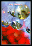DSC04744a_800a