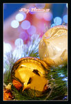 DSC04772a_800a