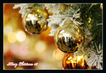 DSC04774a_800