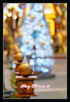 DSC04793a_800a