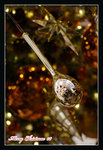 DSC04809a_800
