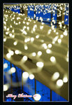 DSC04955_800a