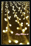 DSC04956_800a