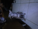 R0013939