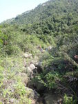 上溯小馬東左坑
DSC04939