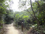 小馬坑初時澗道平緩好悶都係行山路好
DSC04976