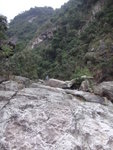 DSC05441