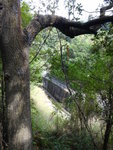 林中右望可見引水道及香港仔水塘道
DSC06053
