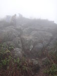 DSC06296