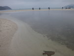 DSC06342
