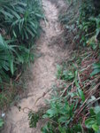 跣跣泥漿路
DSC06362